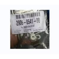 2906 0541 00 CHECK VALVE KIT.